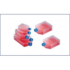Sterile Multilayer Flasks